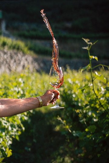 Tsiakkas Winery