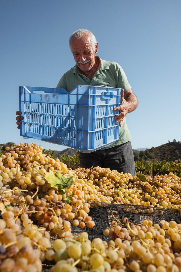Tsiakkas Winery